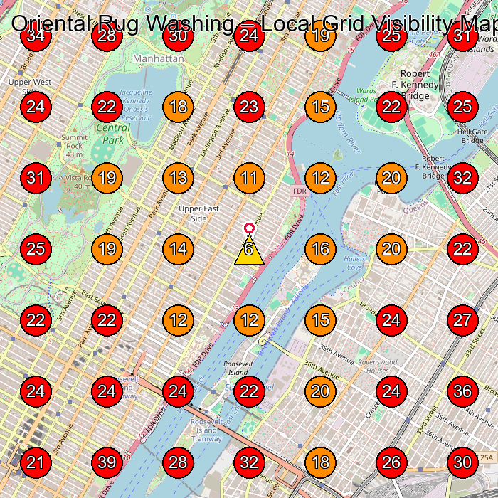 Oriental Rug Washing GeoGrid visibility map for Carpet Cleaning Service in New York